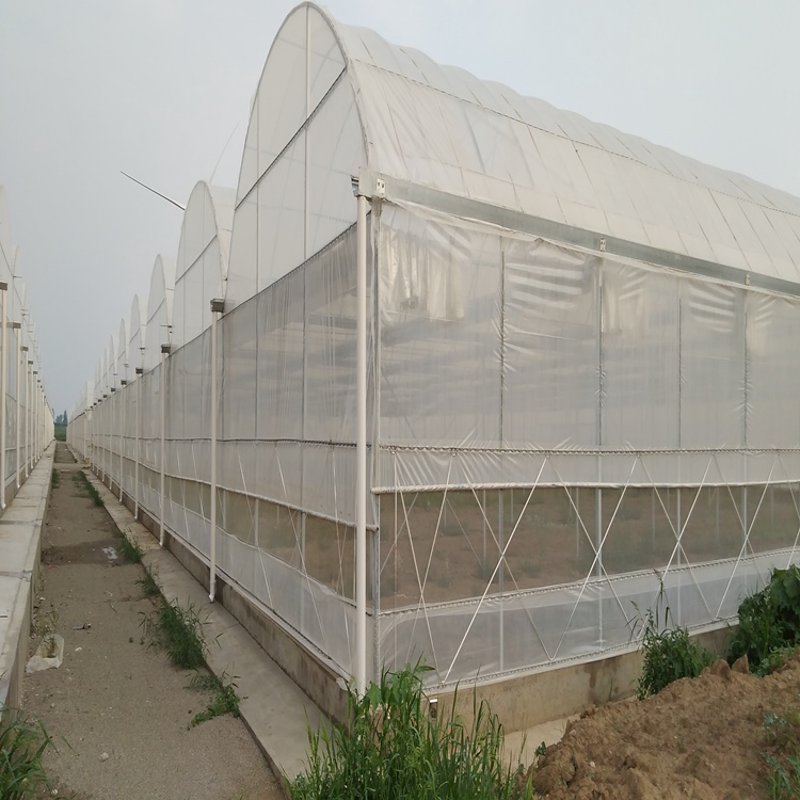 蔬菜种植基地：现代农业的新亮点