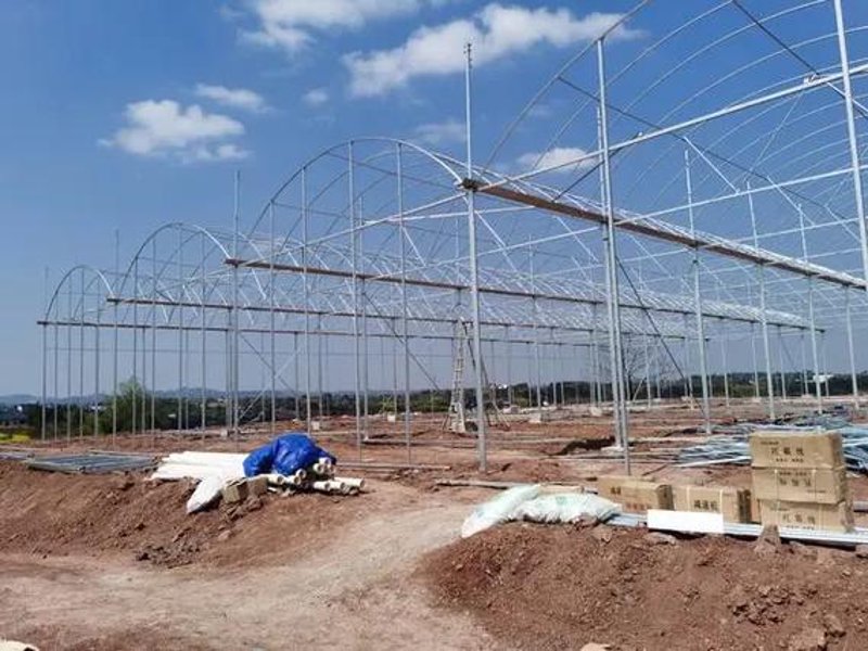 大棚建设：现代农业中的重要推手