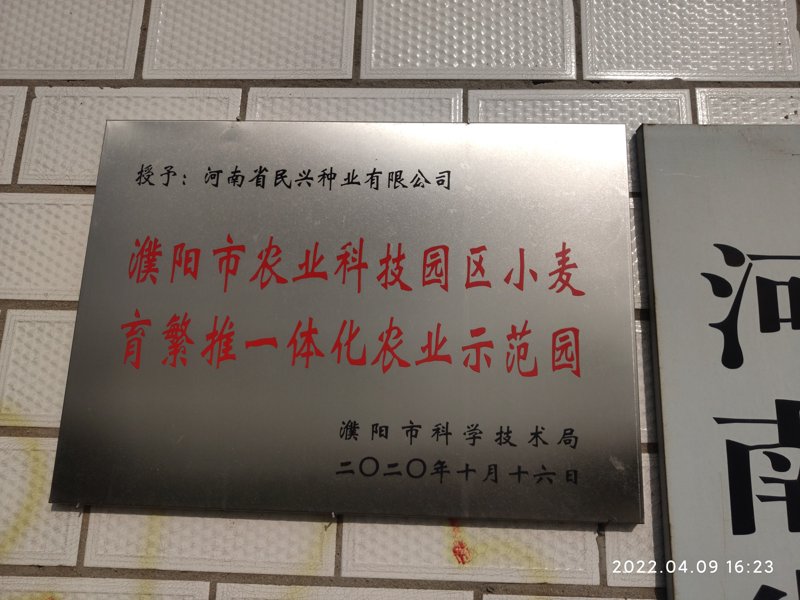 现代农业气象：大棚建设引领农业生产未来