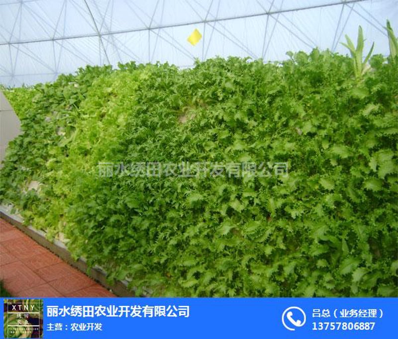 濮阳农业科技发展现状与未来展望